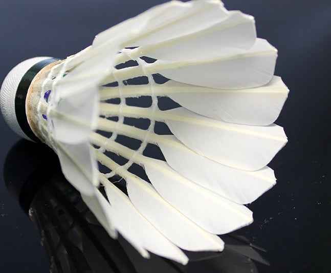 KT800A Duck Feather Badminton Shuttlecock